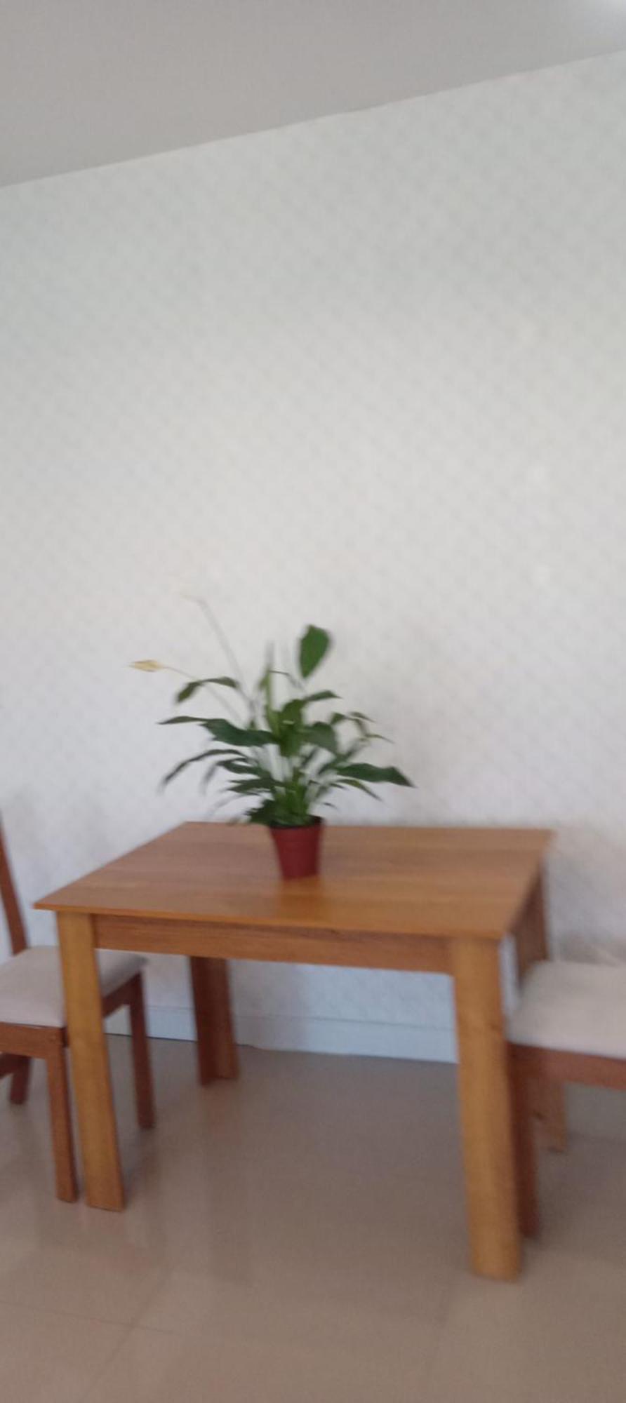 Flat Barra Da Tijuca Diaria Ou Aluguel 3 Meses * Rio de Janeiro