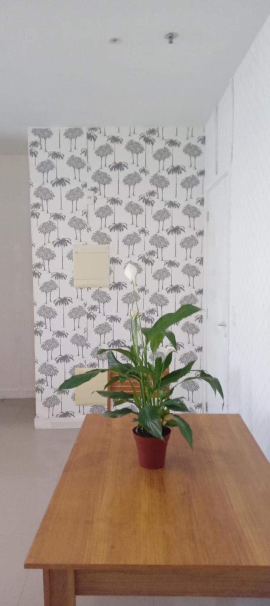 Apartment Flat Barra Da Tijuca Diaria Ou Aluguel 3 Meses *
