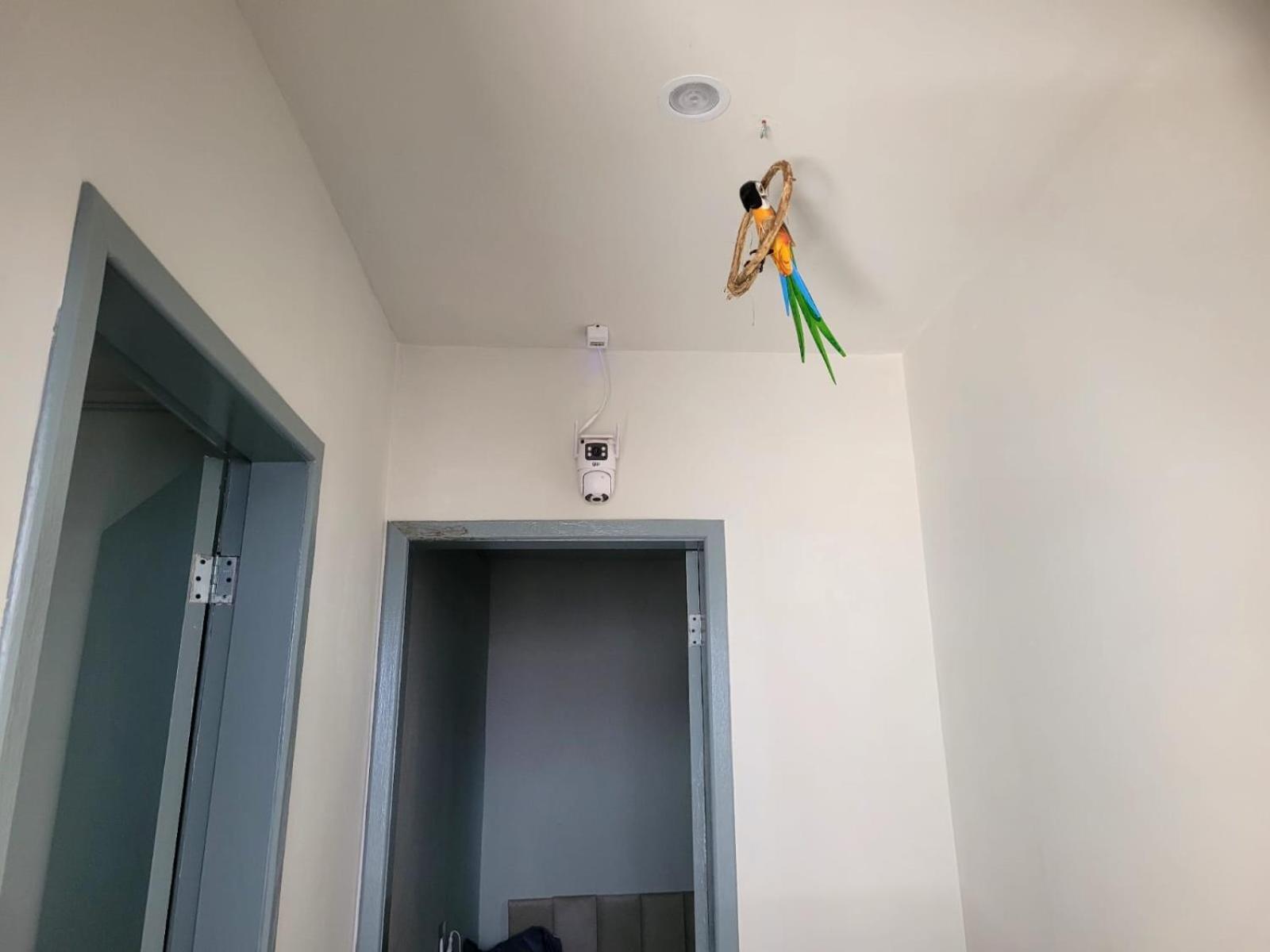Albergue Kriok Vidigal Rj Rio de Janeiro