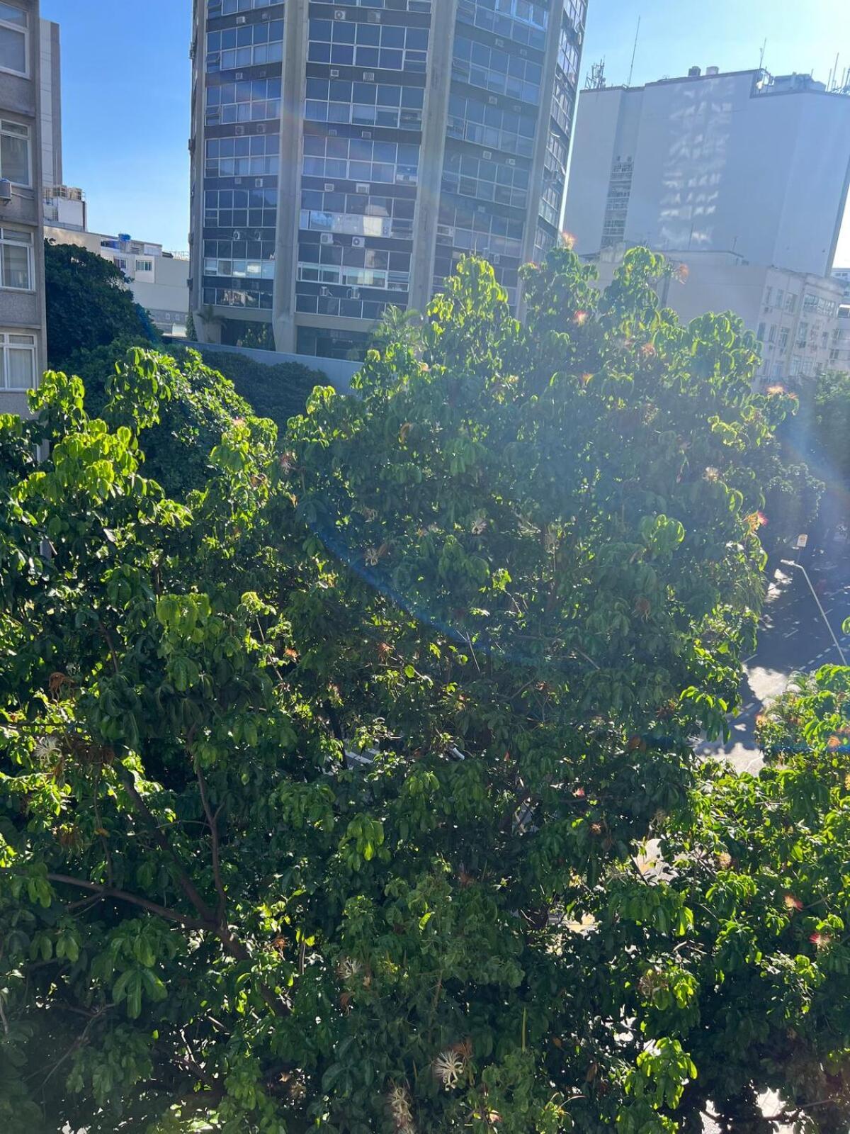 Leblon 319 Apartamento