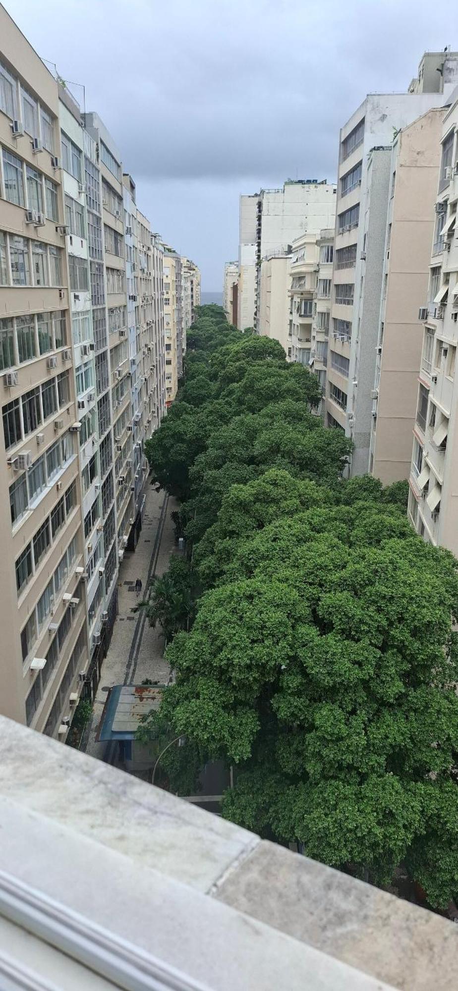 Ape Em Copacabana * Rio de Janeiro