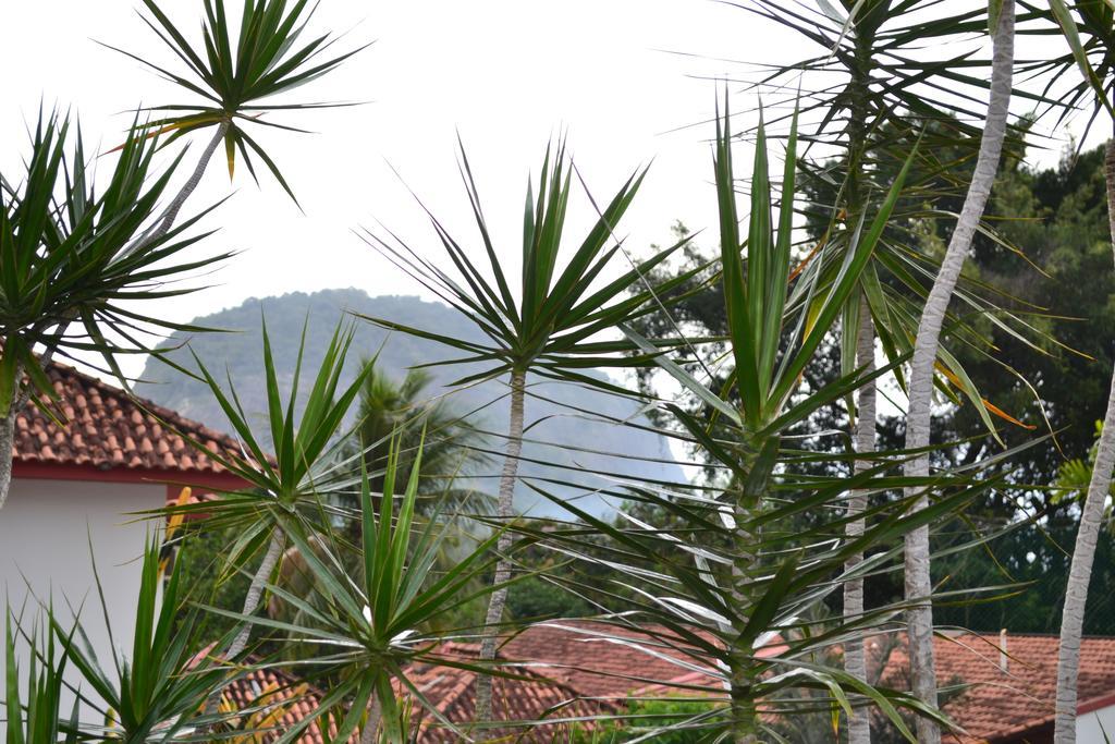 Bosque Dos Dresen Rio de Janeiro
