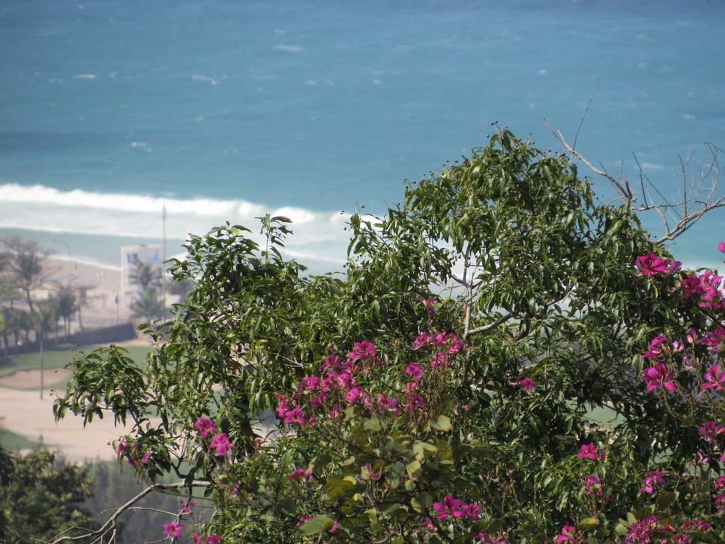Alojamento de Acomodação e Pequeno-almoço Casa Rio 3*
