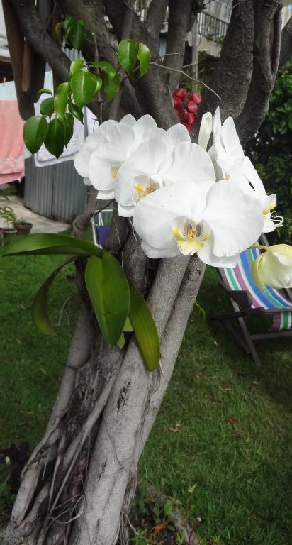 Casa Da Gente Bed & Breakfast Rio de Janeiro