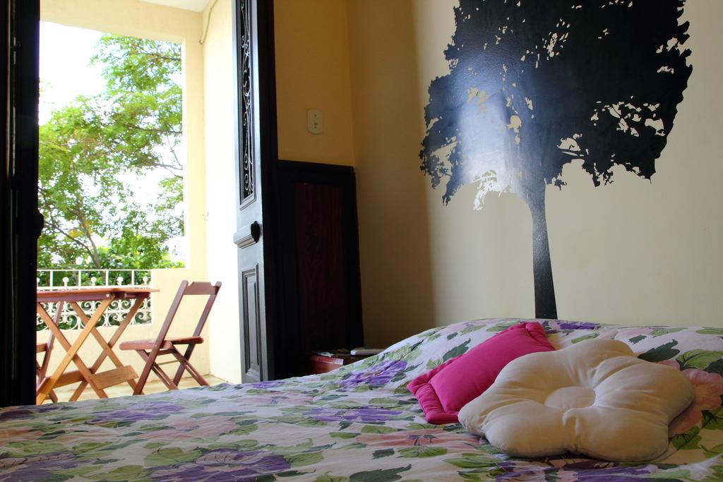 Hostel Rio Forest