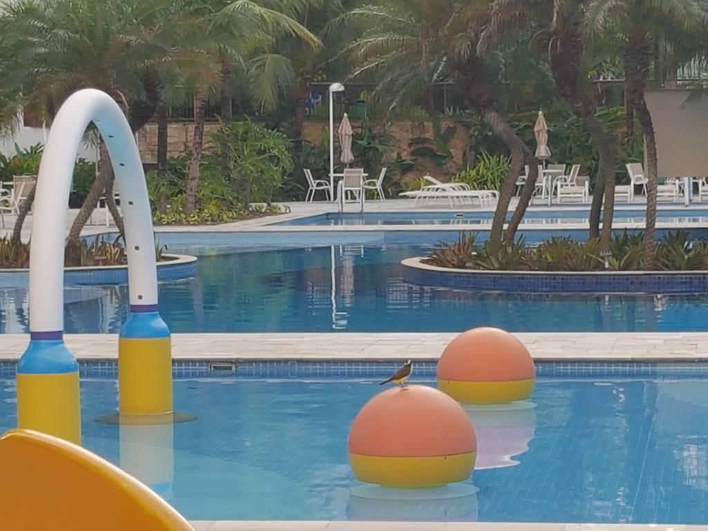 Sweet Comfort In Rio