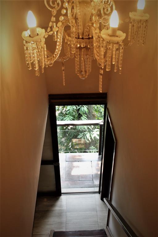 Quinta Azul Boutique Casa de hóspedes Rio de Janeiro