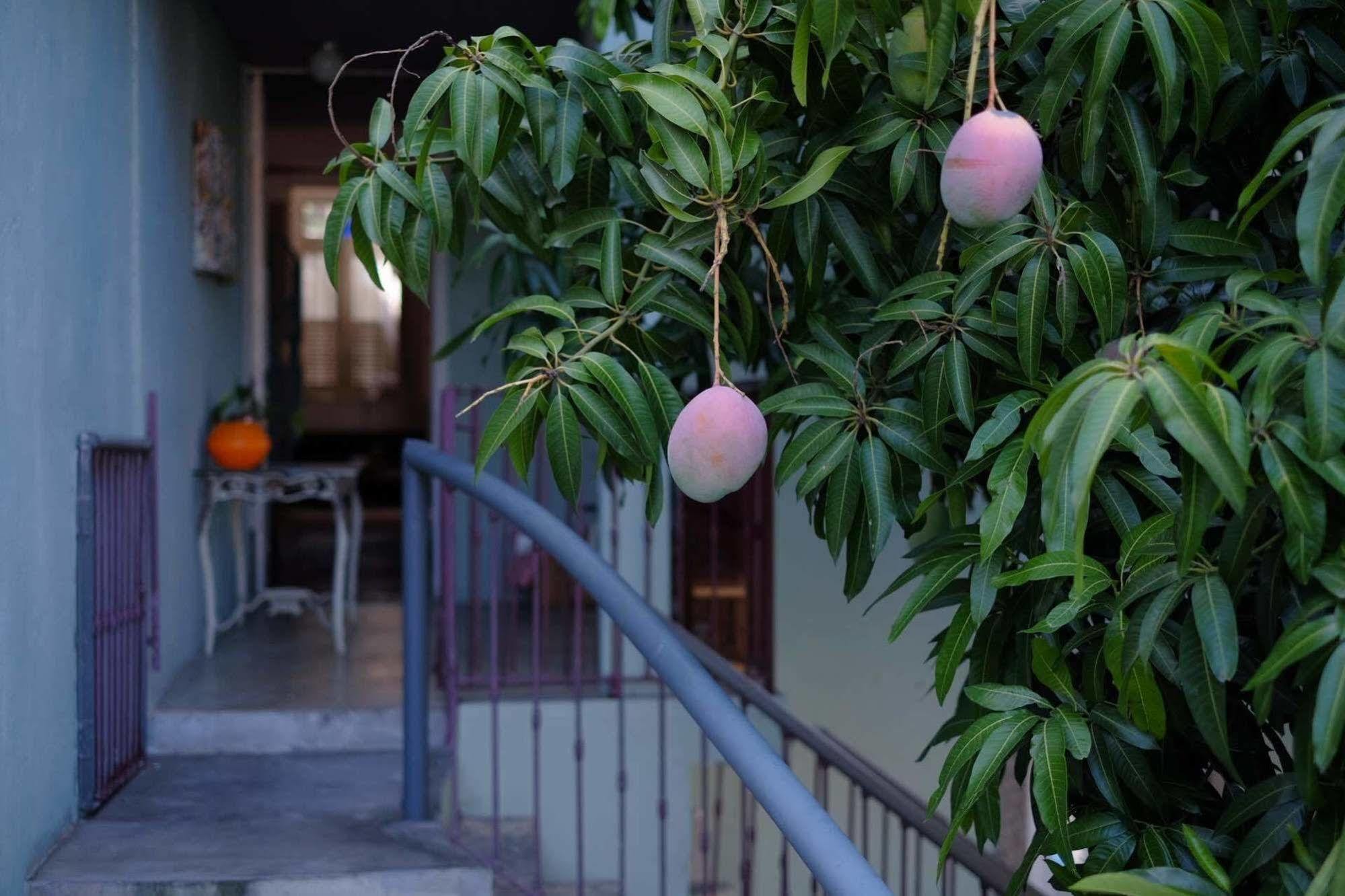 Alojamento de Acomodação e Pequeno-almoço Casa Da Santa