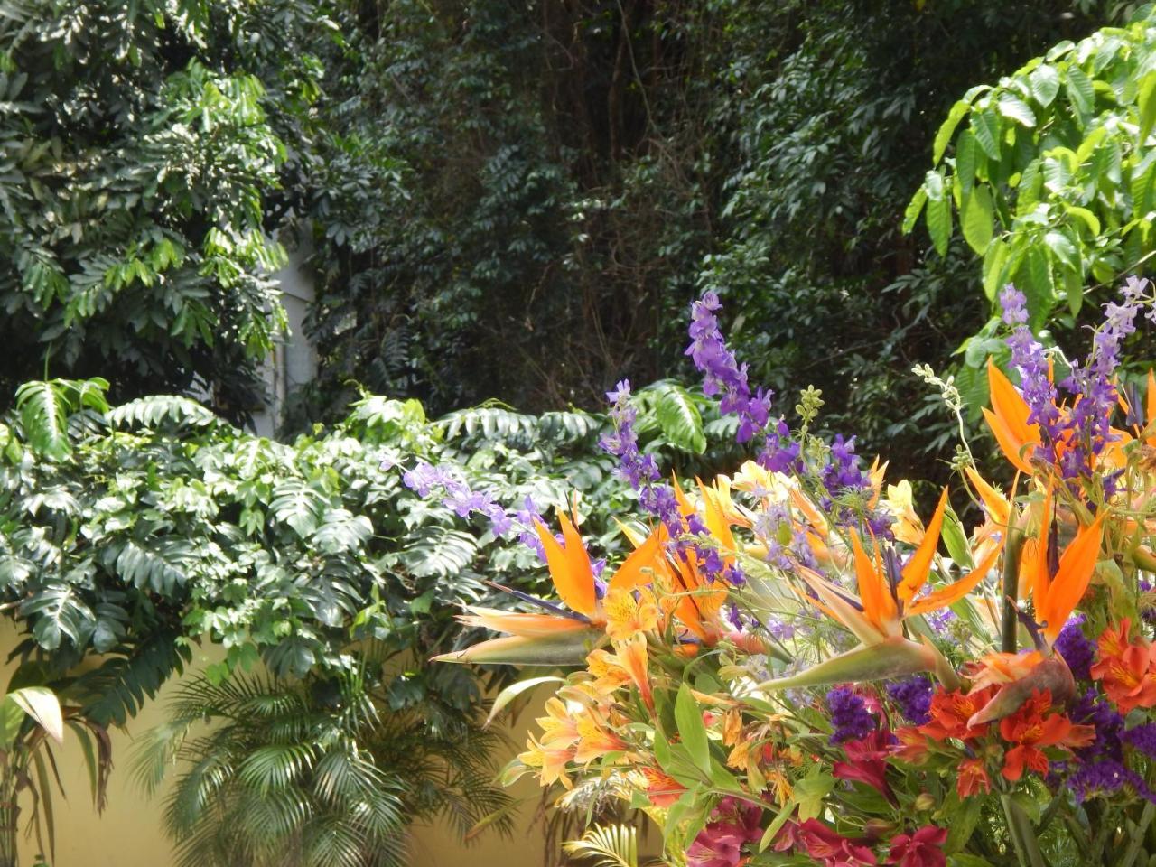 Casa São Conrado Rio de Janeiro