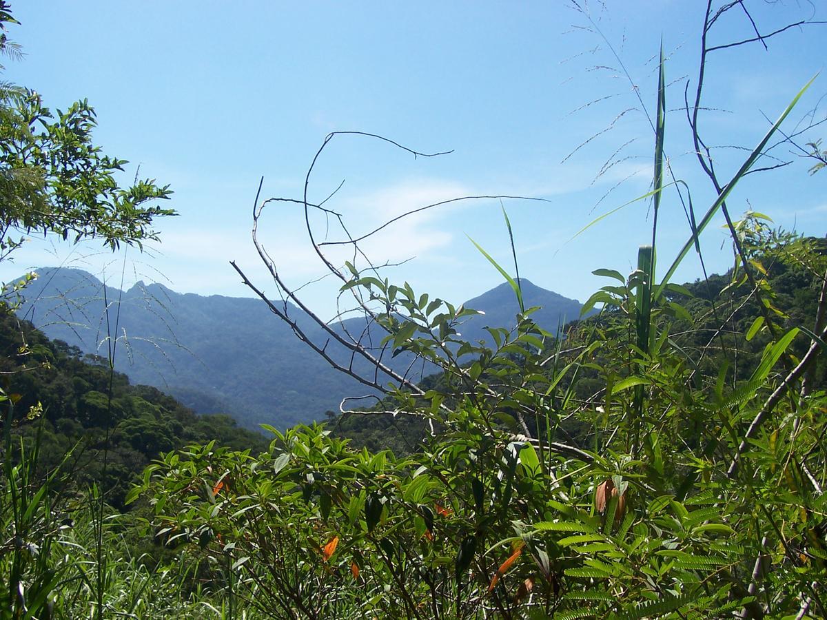 Casa São Conrado * Rio de Janeiro