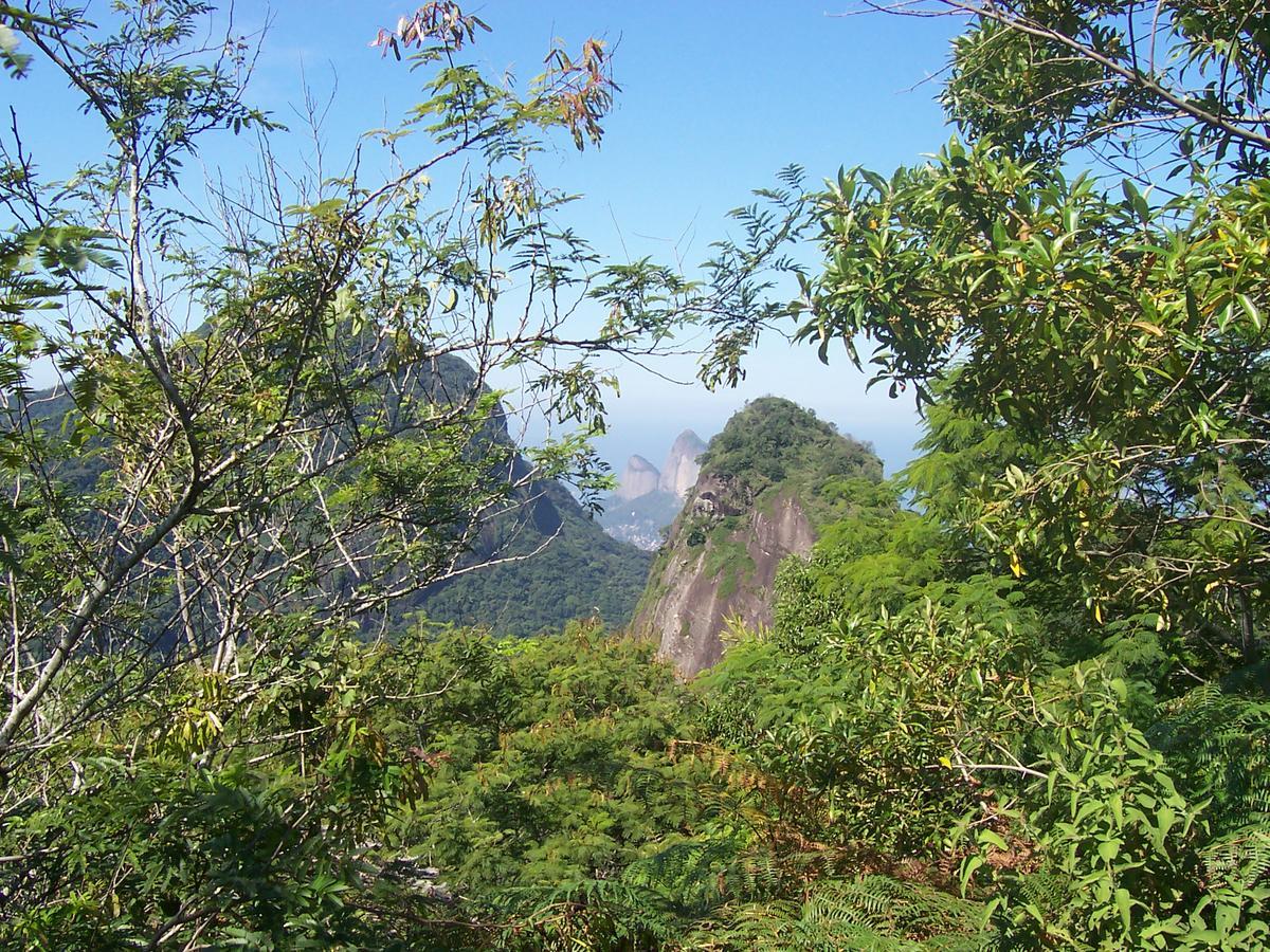 Casa São Conrado * Rio de Janeiro
