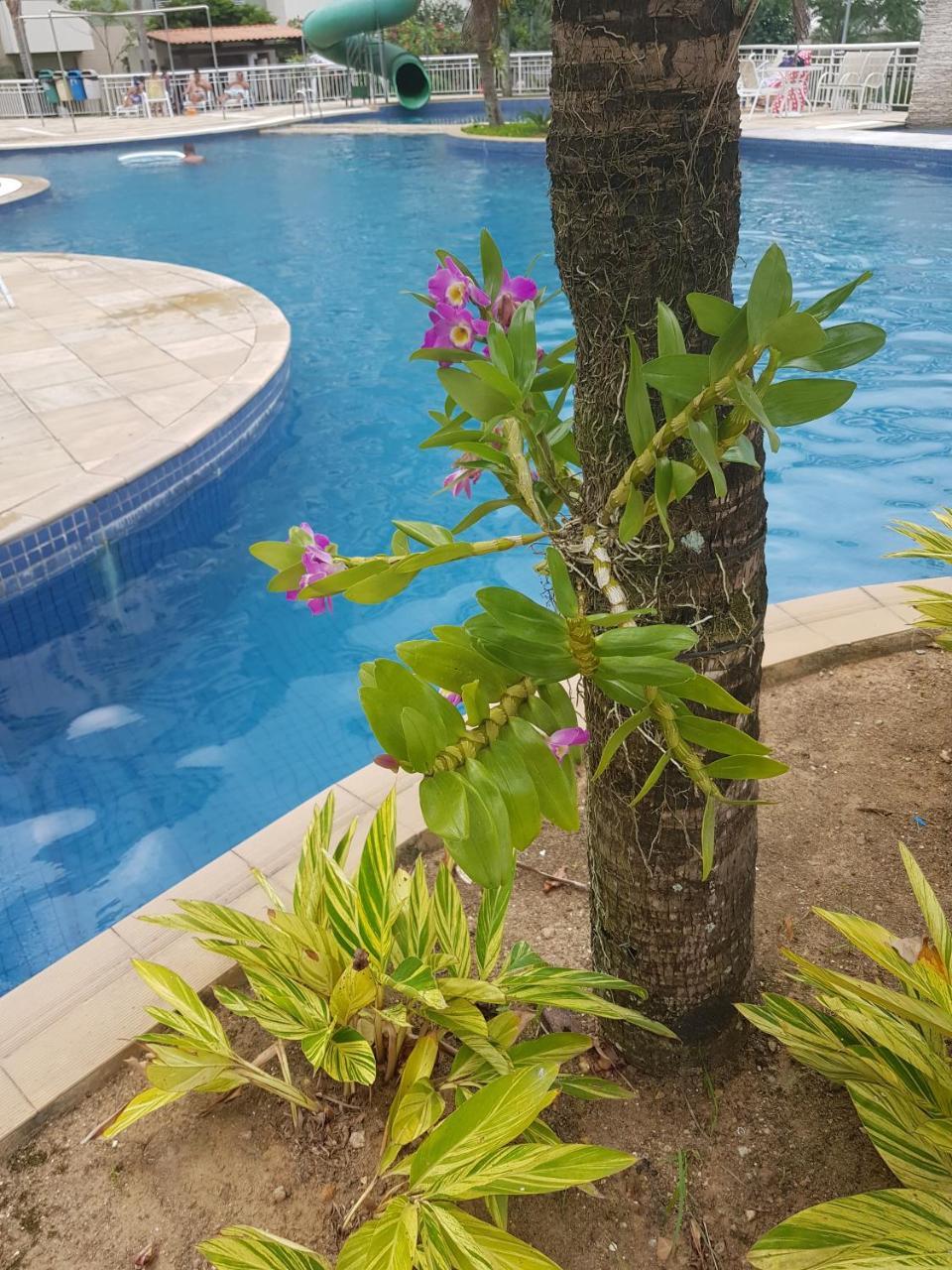 Rio Centro - Barra Da Tijuca - Recreio - Apartamento Rio de Janeiro
