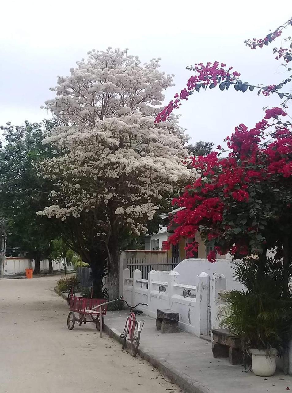 Alojamento de Acomodação e Pequeno-almoço Casa Da Coruja Rio de Janeiro