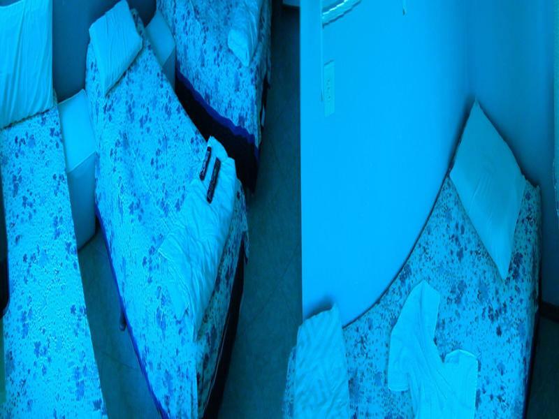 Casas Felicidade 2*
