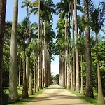 Rio Spot Begossi