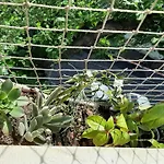 Excelente 2 quartos em Santa Teresa/Bairro de Fátima
