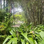 Rio Natureza apart 105