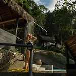 Rain Forest Paradise