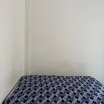 Nsp1103-Lapa