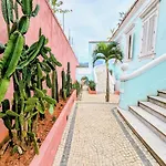 Samambaia