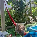 Barra Da Tijuca Guest Houses