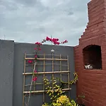 Rio Mini Castle In The Sky