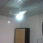Cortiço da Lapa