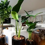 Apartamento Entre Copacabana E Ipanema