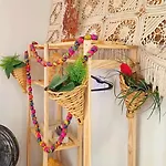 Apartamento Charmoso Na Lapa Rio De Janeiro