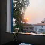 Cantinho Em Santa Teresa Com Bichinhos De Estimacao