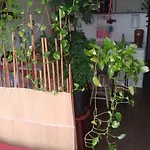 Kitnet