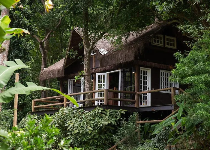 Rain Forest Paradise