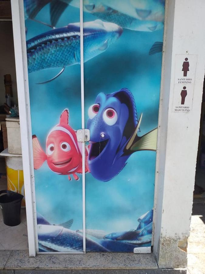 Girassol * Rio de Janeiro