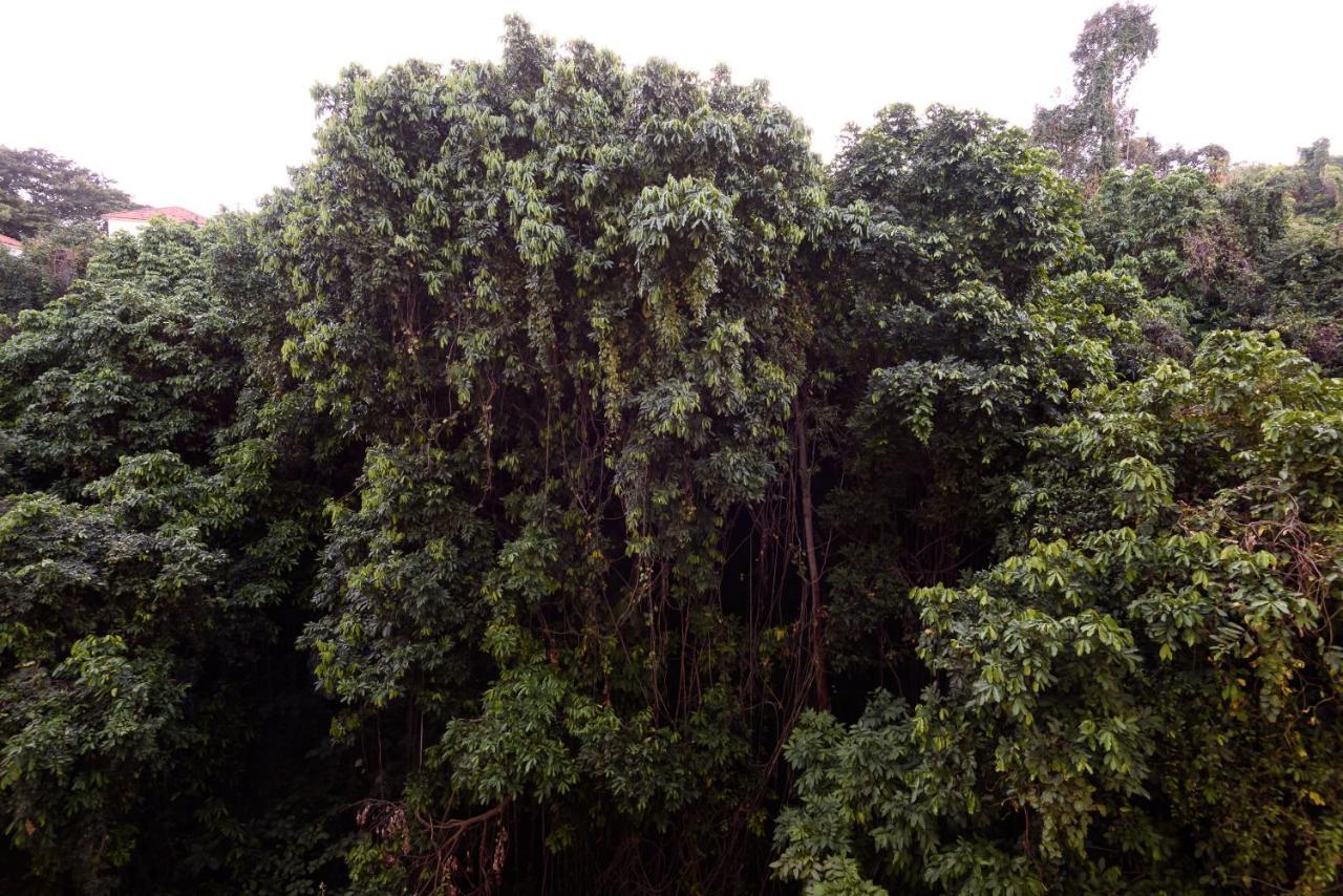 Sossego Em Copacabana - Vista Arborizada - Br1009 Z4 Rio de Janeiro