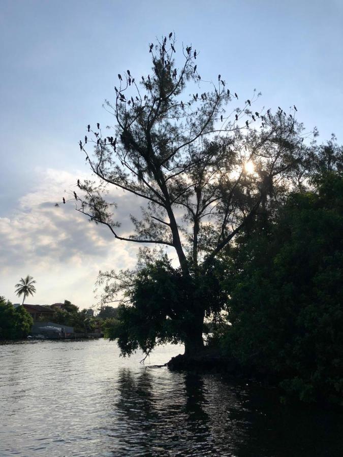 Paraiso Na Ilha Da Gigoia