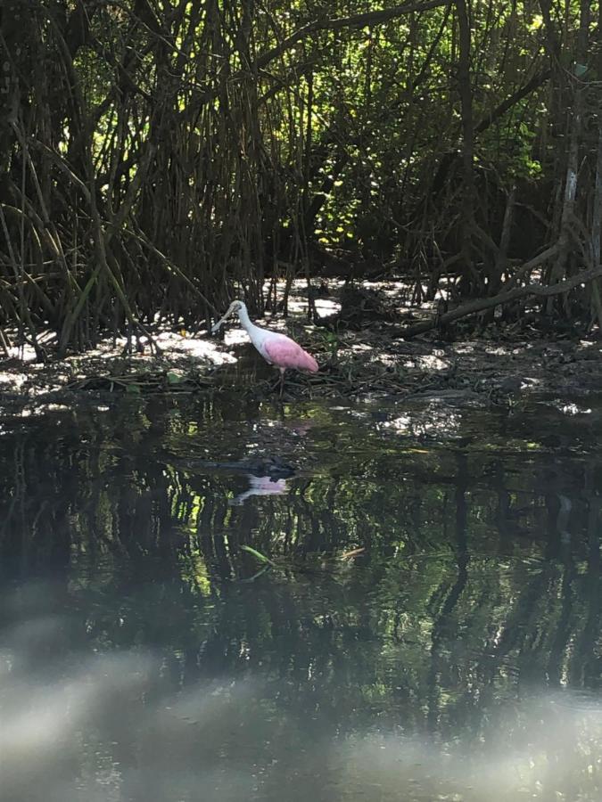 Paraiso Na Ilha Da Gigoia *