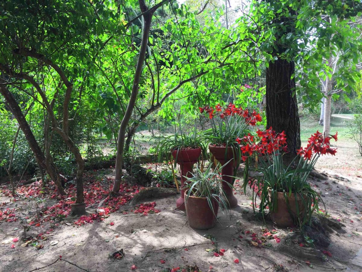 Vila Maria - Linda Casa De Campo * Rio de Janeiro