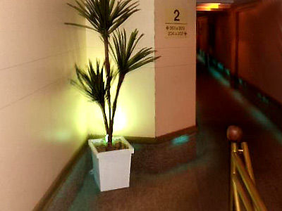 Hotel Fênix