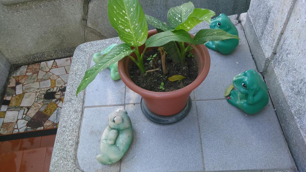 Albergue Recanto De Alegrias Em Sao Cristovao