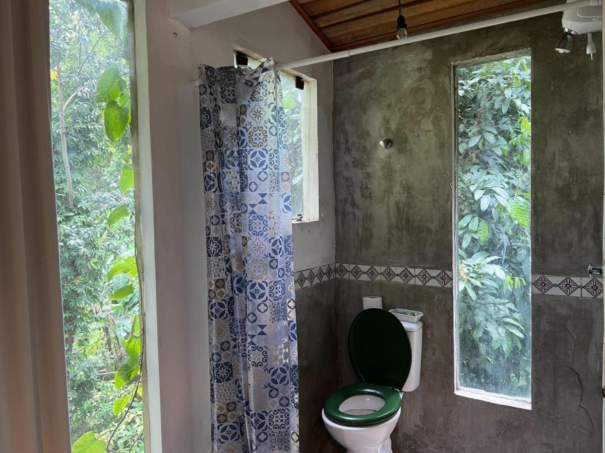 Amazing Forest House In The City! Private Guest - Double