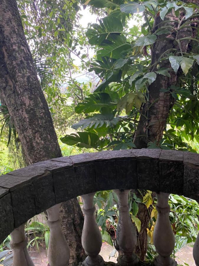 Apartamento Rio Natureza 115