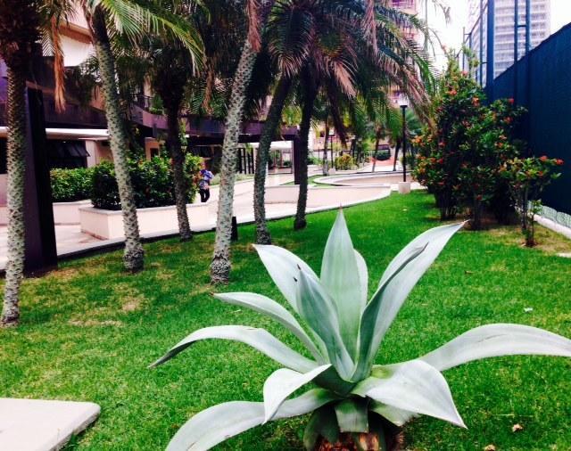 Delicioso Com Linda Vista Apartment *