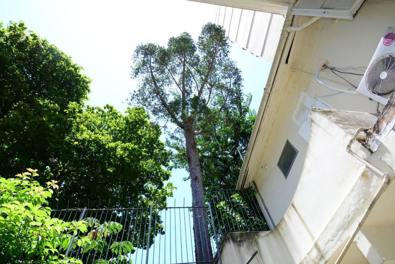 Cozy Flamengo - 3 Hospedes, Conforto E Privativo! Rio de Janeiro