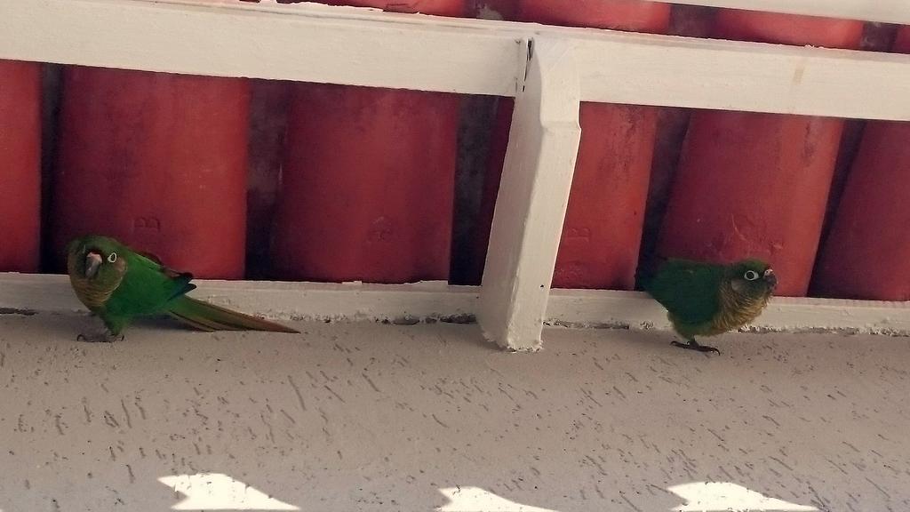 Alojamento de Acomodação e Pequeno-almoço Gávea