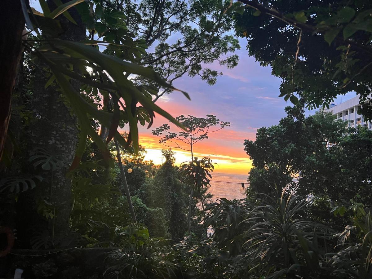 Amazing Forest House In The City! Private Guest - Double Casa de férias *