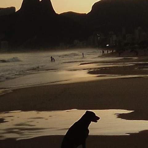 Ipanemabeach Private For One Person Only Quarto em Acomodações Particulares Rio de Janeiro
