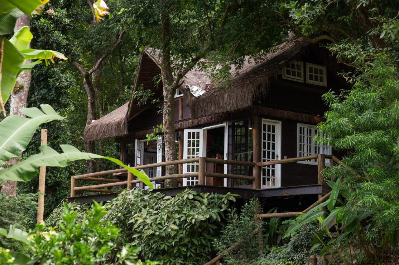 Rain Forest Paradise *