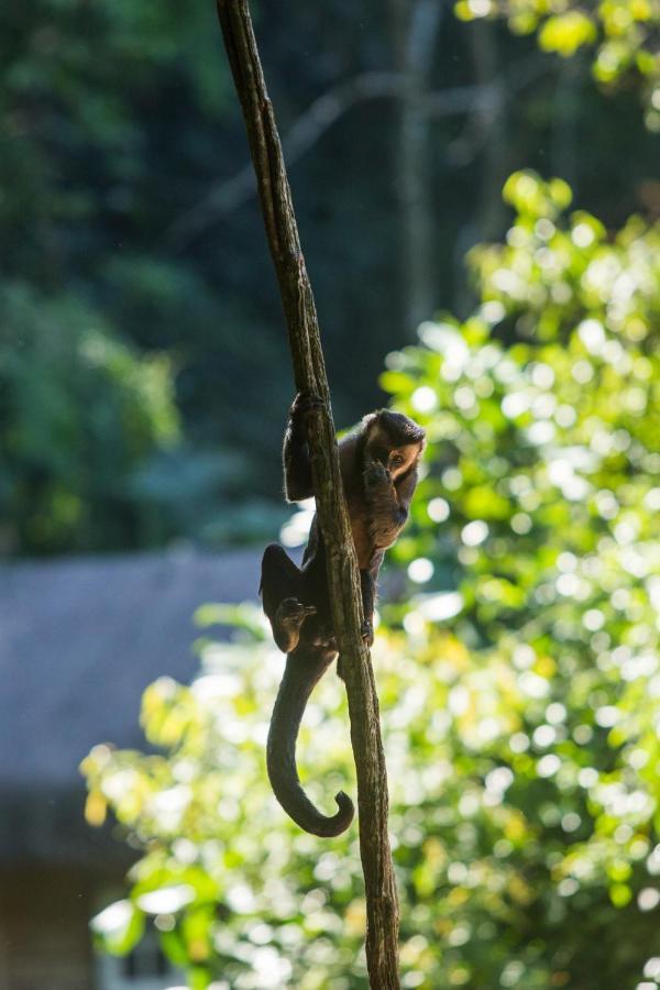 Holiday home Rain Forest Paradise Rio de Janeiro
