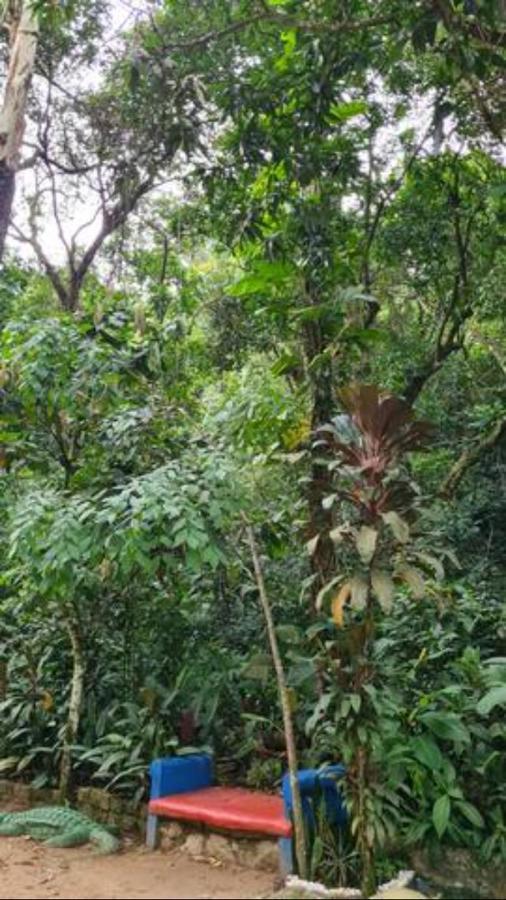 Estudio Da Floresta Rio de Janeiro