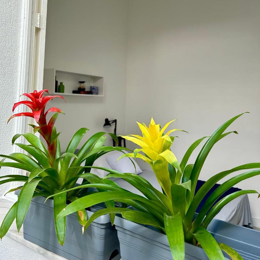 Apartamento Tipo Casa No Coracao Da Zona Sul Do Rio Apartamento